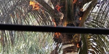 इंदिरानगर येथील सायकल ट्रॅक मध्ये “आग”